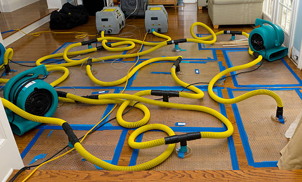 Professional Sewage Cleanup technician working in Willshire, OH